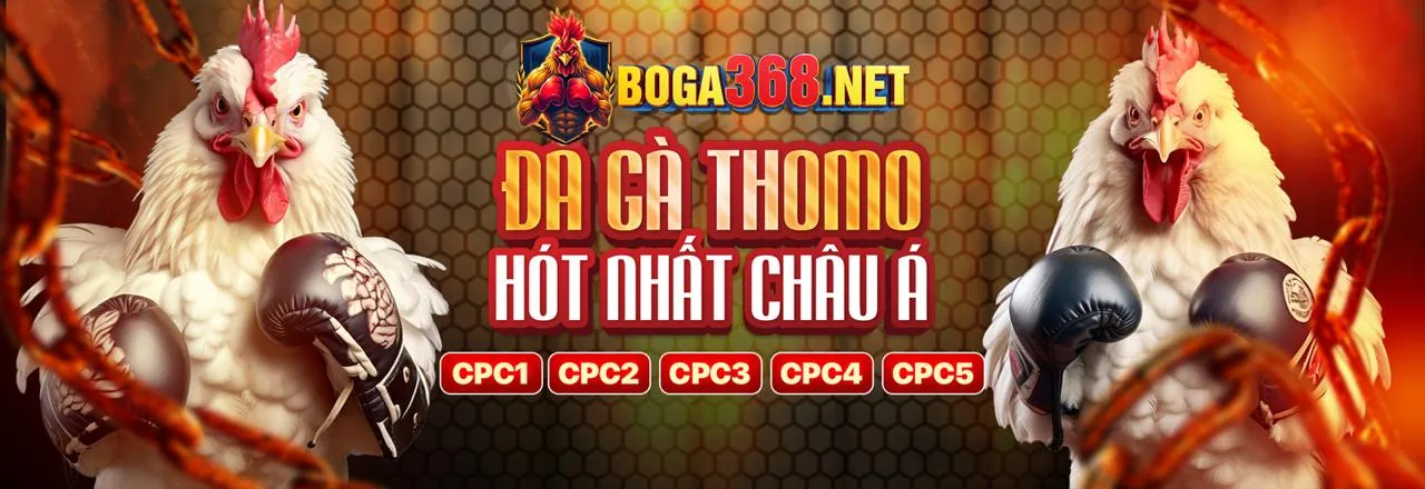 Chương Trình Đại Lý 188cm nhà cái