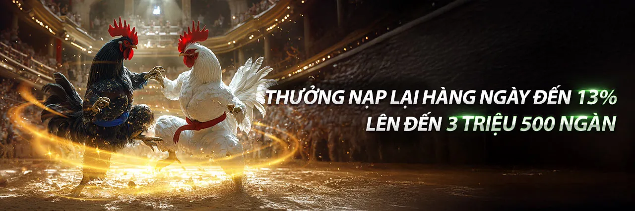 Hình ảnh đại diện 188cm nhà cái - nền tảng cá cược thể thao và casino trực tuyến hàng đầu
